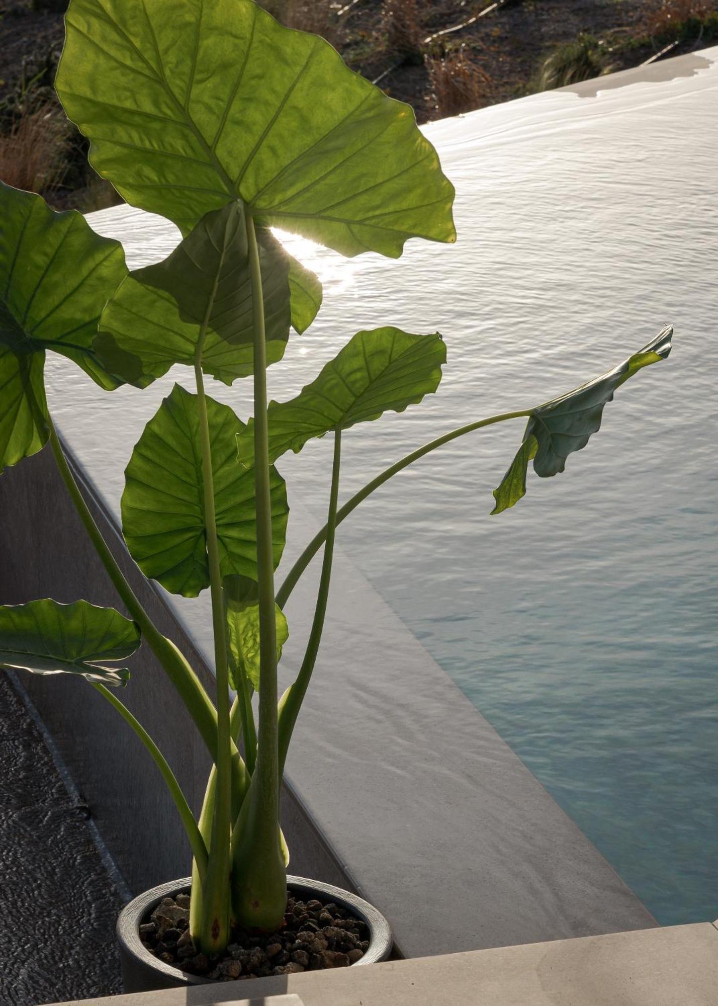 Neromai Cave Luxury Villas Koxaré Rum bild